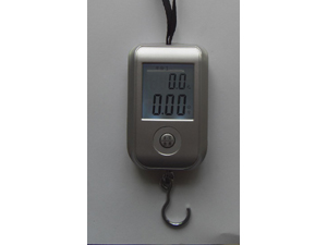 New hanging scale with pricing function