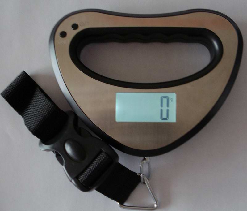 New digital hanging scale