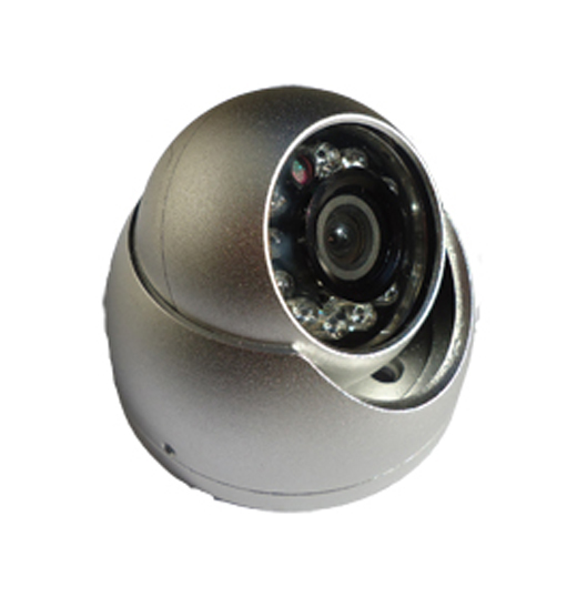 Dome view ccd camera