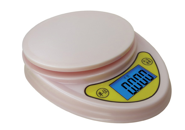 Cheapest kitchen scale with backlight LCD