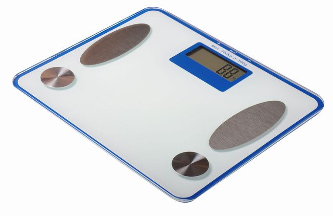 Portable body fat scale