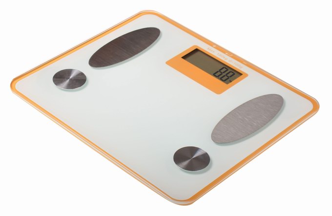 Portable body fat scale