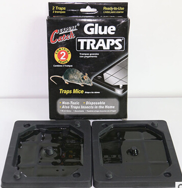 Mouse glue trap